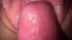 播放 继姐妹紧紧的猫在强烈的特写训练中搞砸了