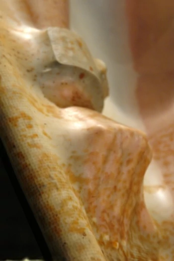 Bintang porno Closeup Fetish